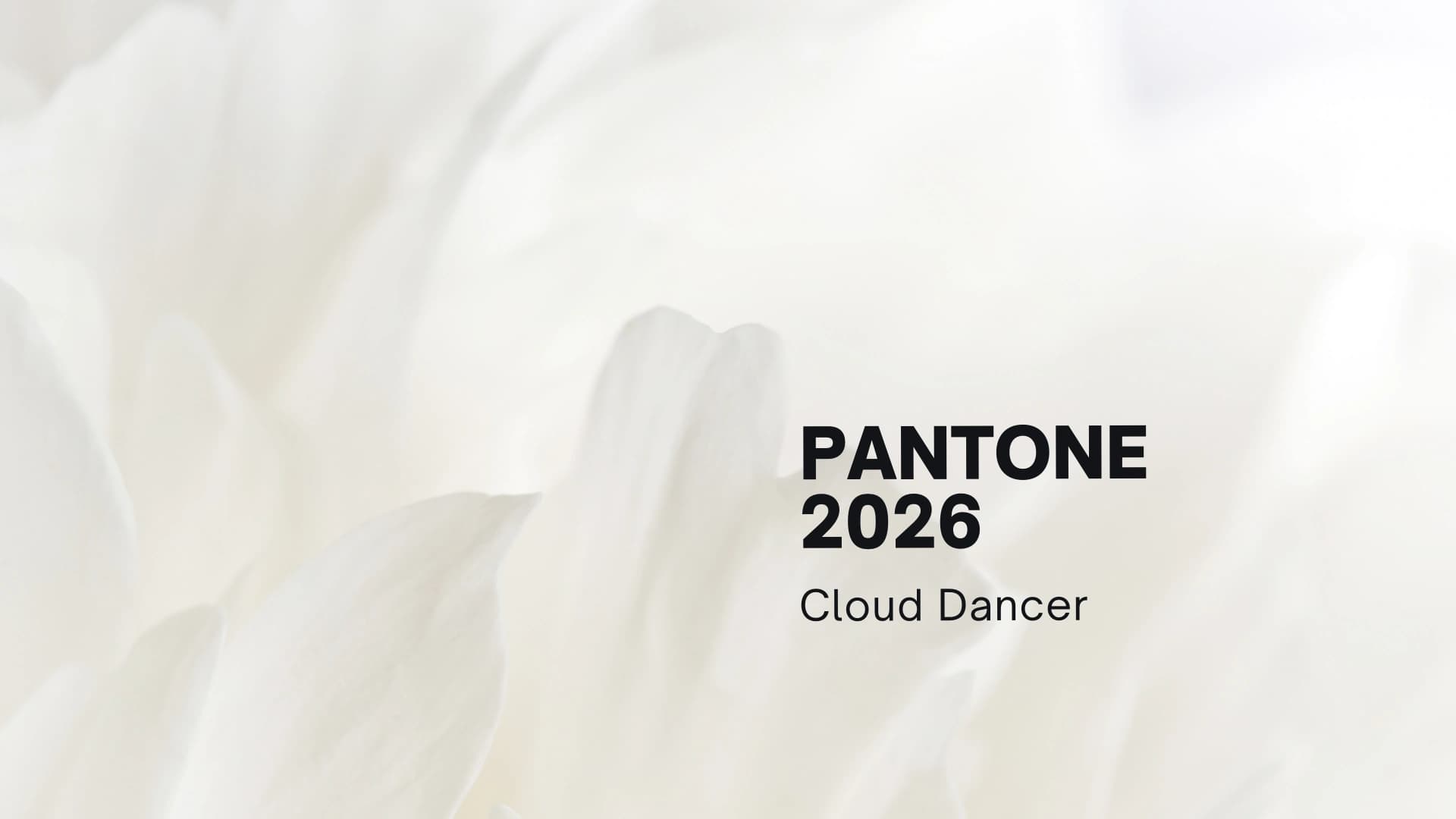 Pantone Color of the Year 2026: Cloud Dancer